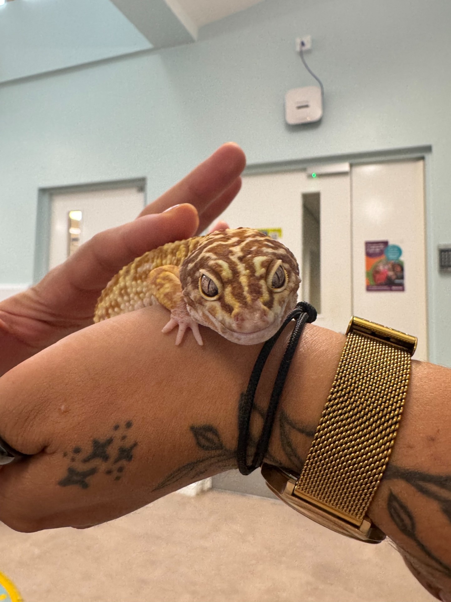 South Family Hubs Activities block mentored by Family Hubs