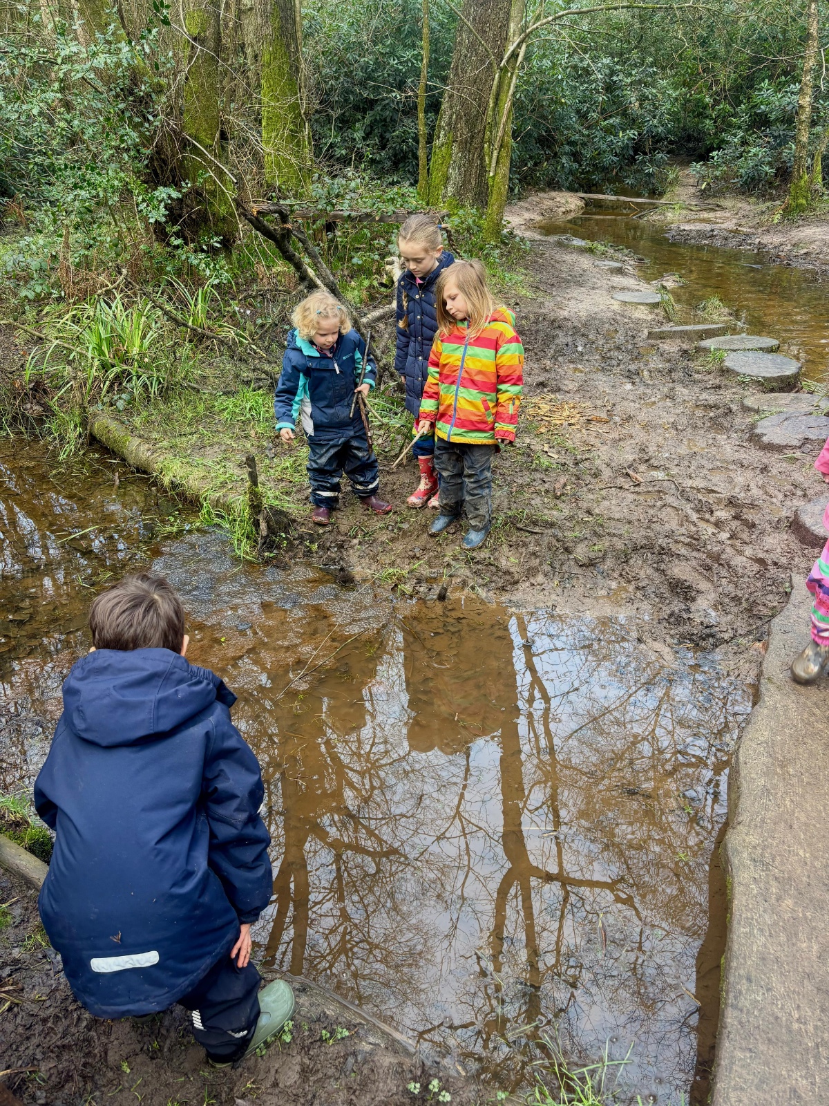 Woodland Magic at Chelwood Gate - image 2