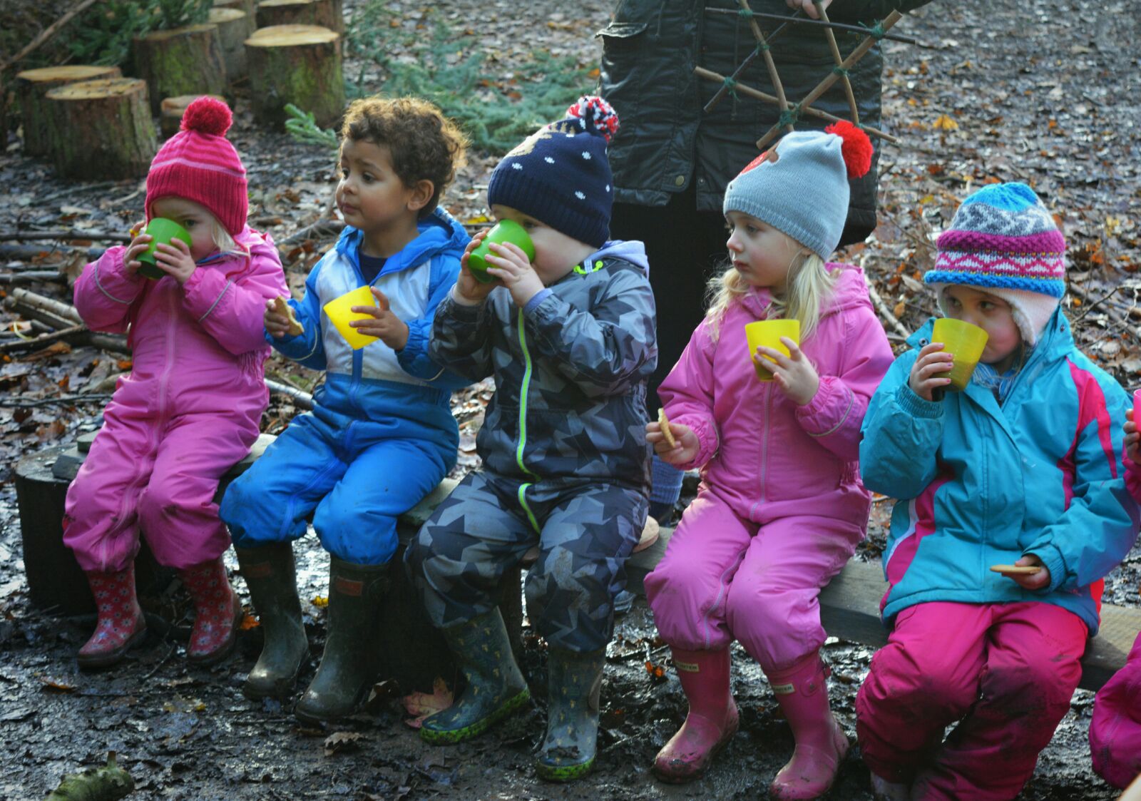 Mini Wilderness Explorers - image 17