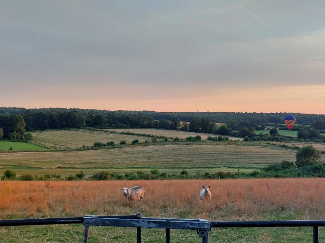Farm to fibre - image 2