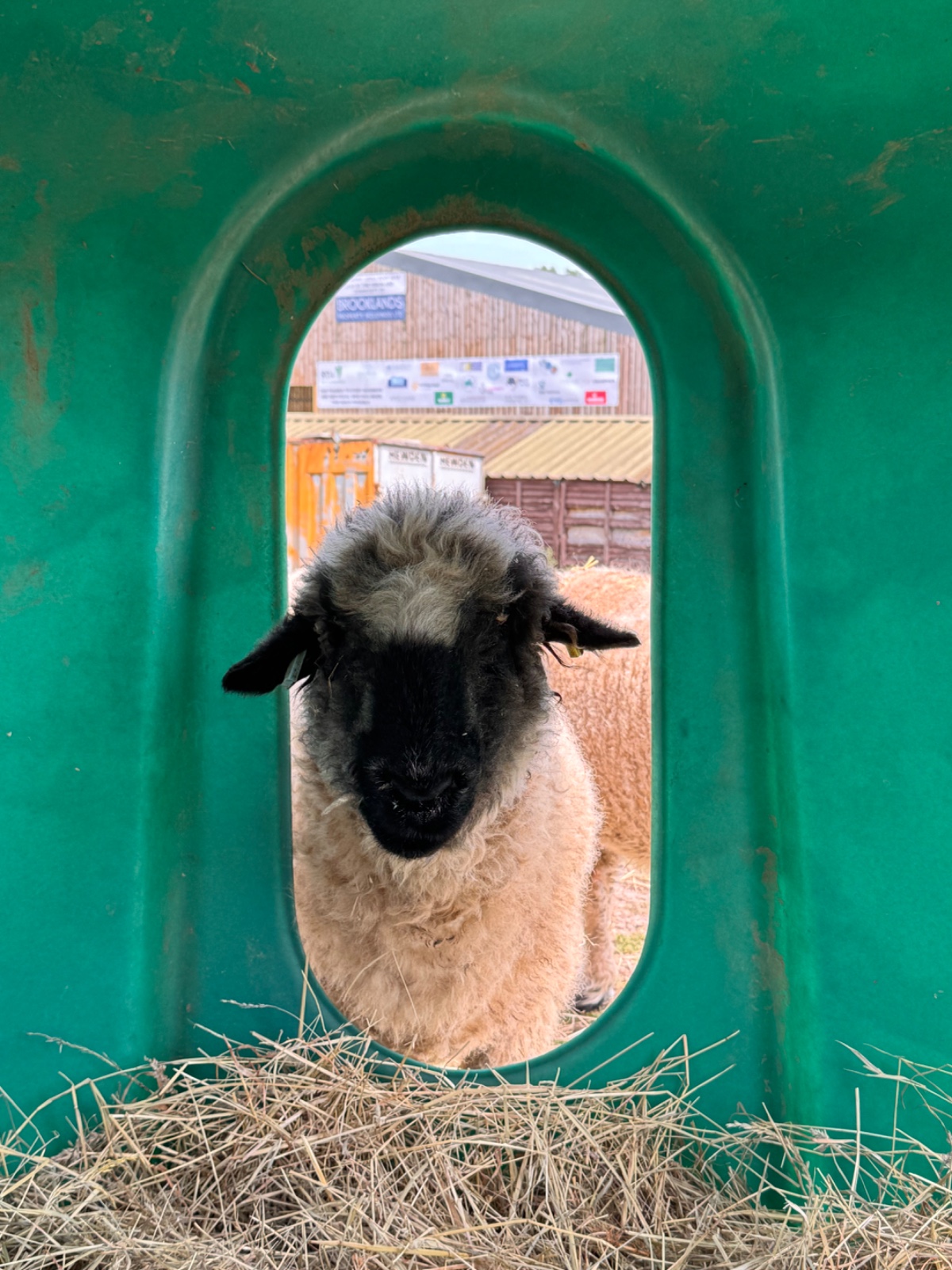 SEND Animal Adventures @ North Ferriby - image 2