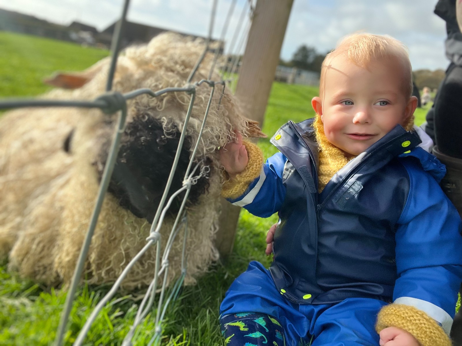 Perinatal Wellbeing Club @ The Farm block mentored by Isle of Wight Rare Breeds CIC
