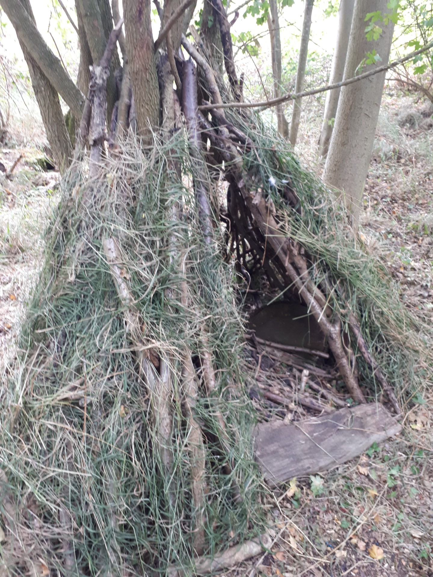 Easter Woodland activity day - image 3