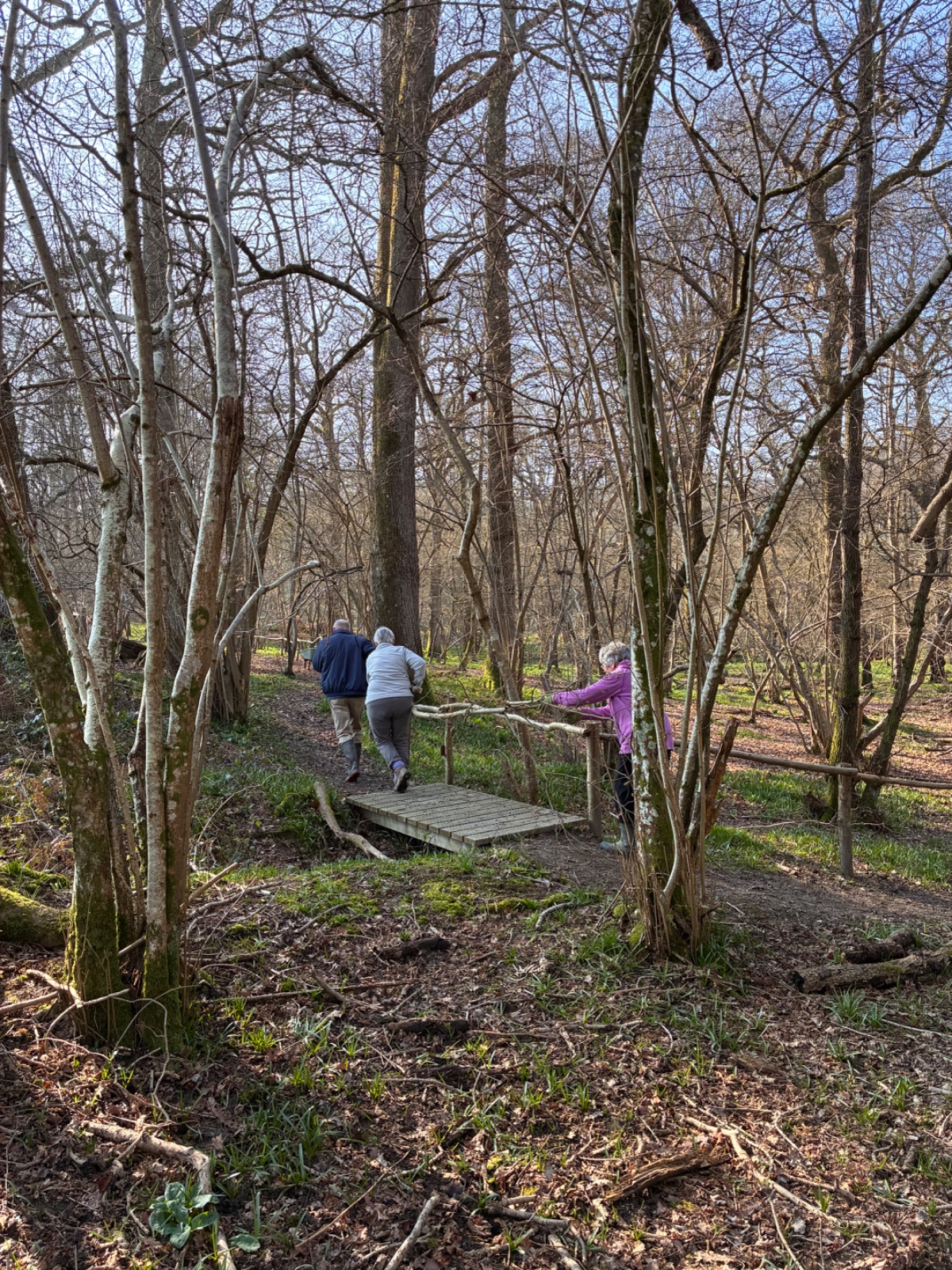 Wednesday Volunteers - image 5