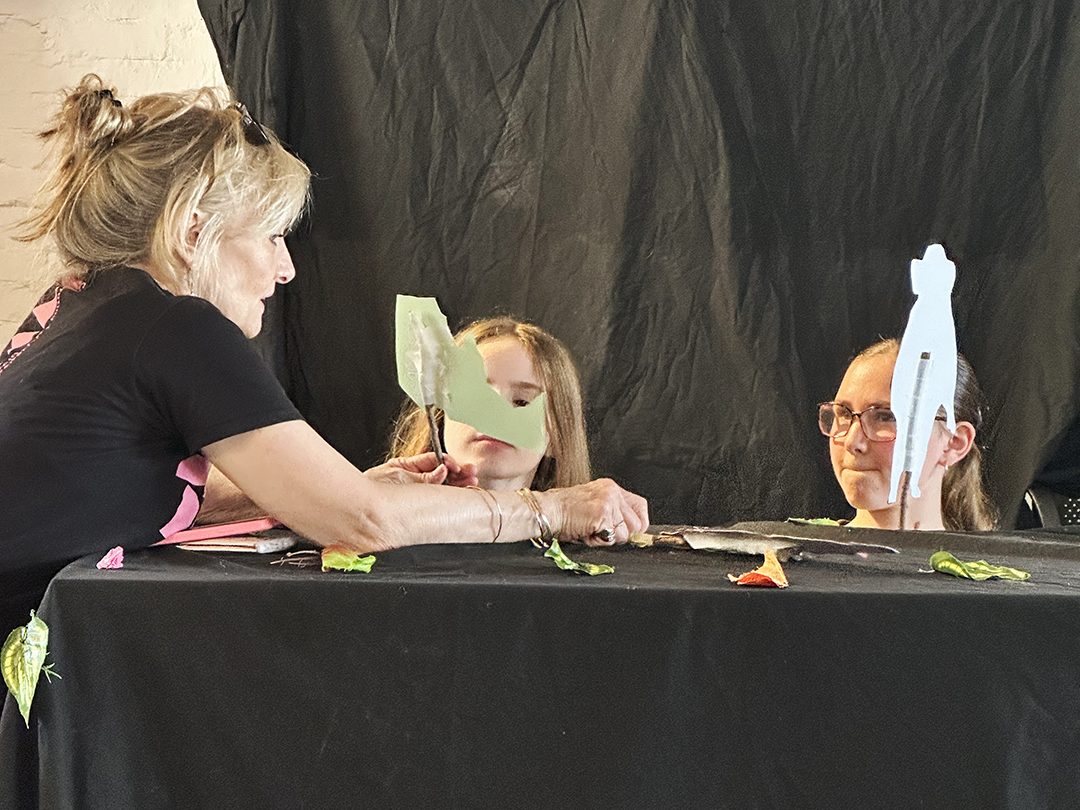 Forest Drama Club - image 3
