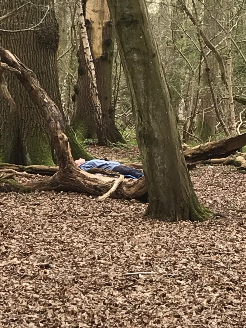 Thornham Walks Forest Bathing - image 25