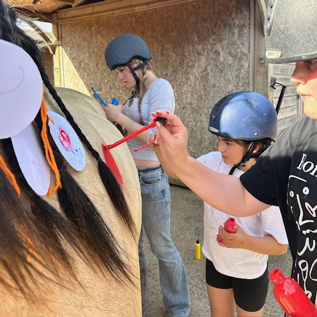 Wight Horse CIC HAF Equine Activities - image 3