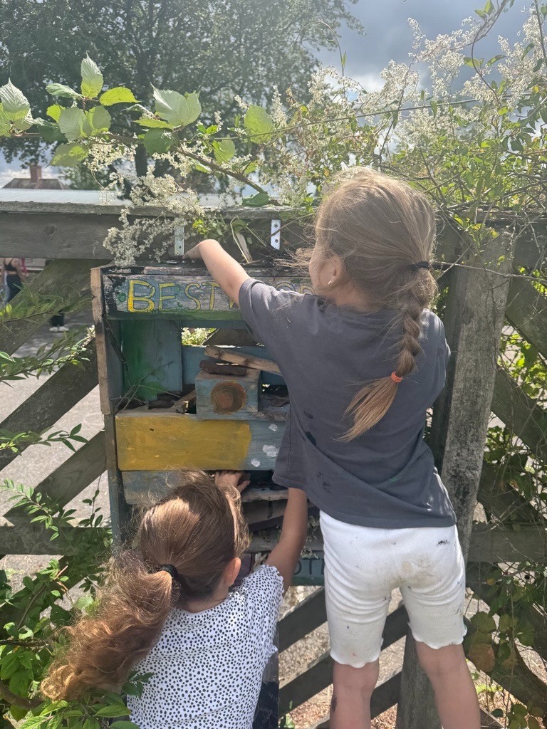 Nottz Garden Project - Garden, Art & Grub Club - image 2