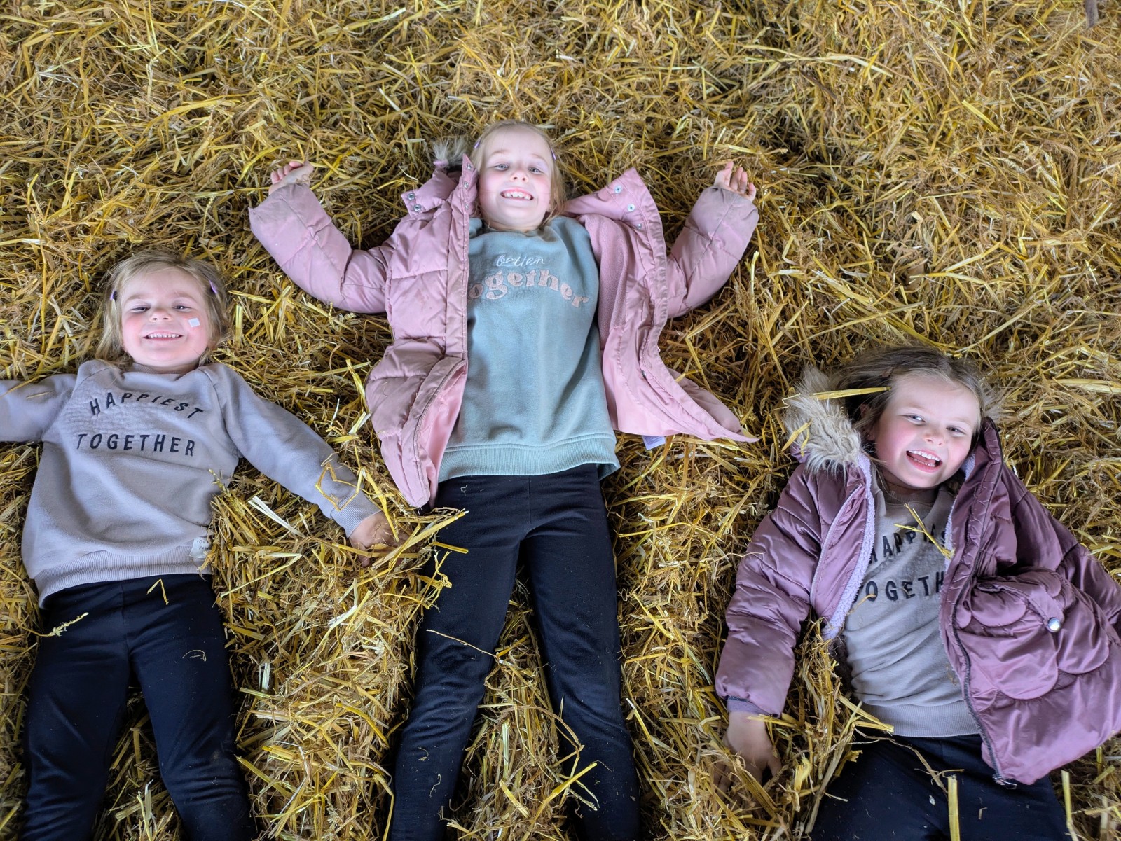 Surrey Hills & Rivers Holiday Camp - image 3