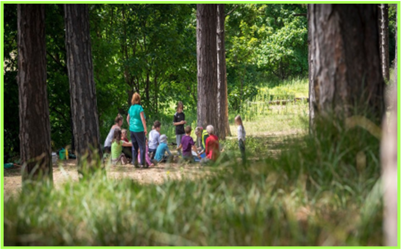 Summer 2026 Day Camps - image 4