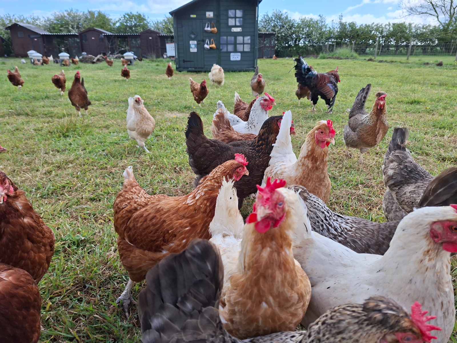 SEND Animal Experiences @ Aldbrough - image 6