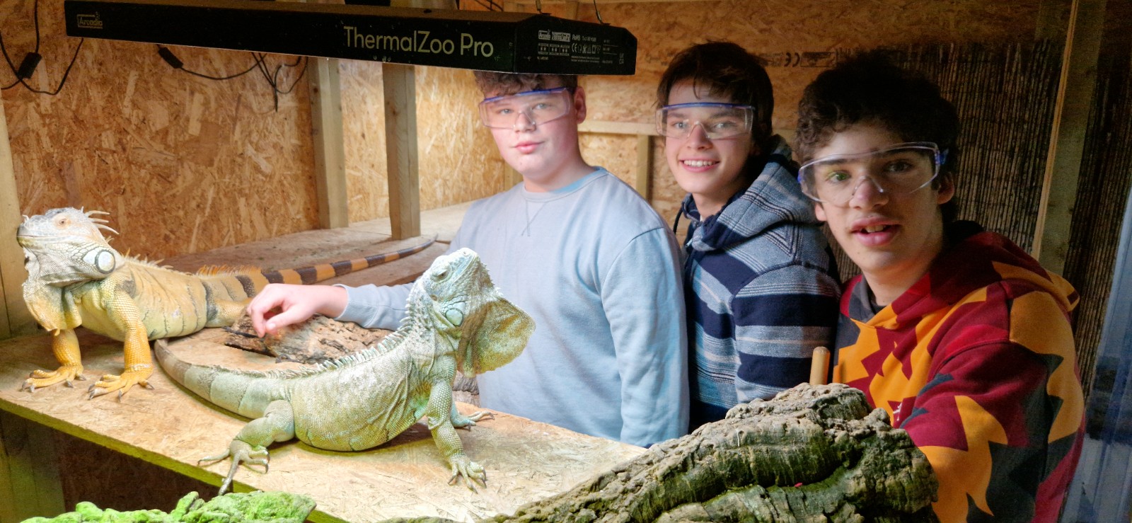 Reptile Ranger Holiday Activities & Food Club - image 3