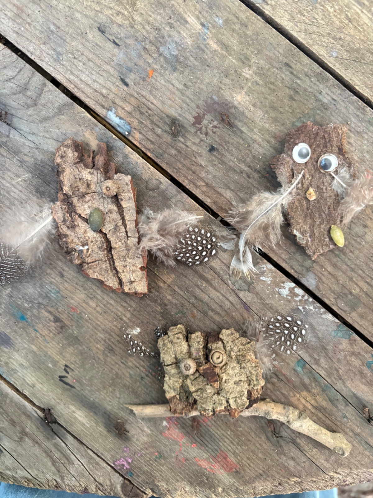 Fungi, Fire and Family Fun! - image 24