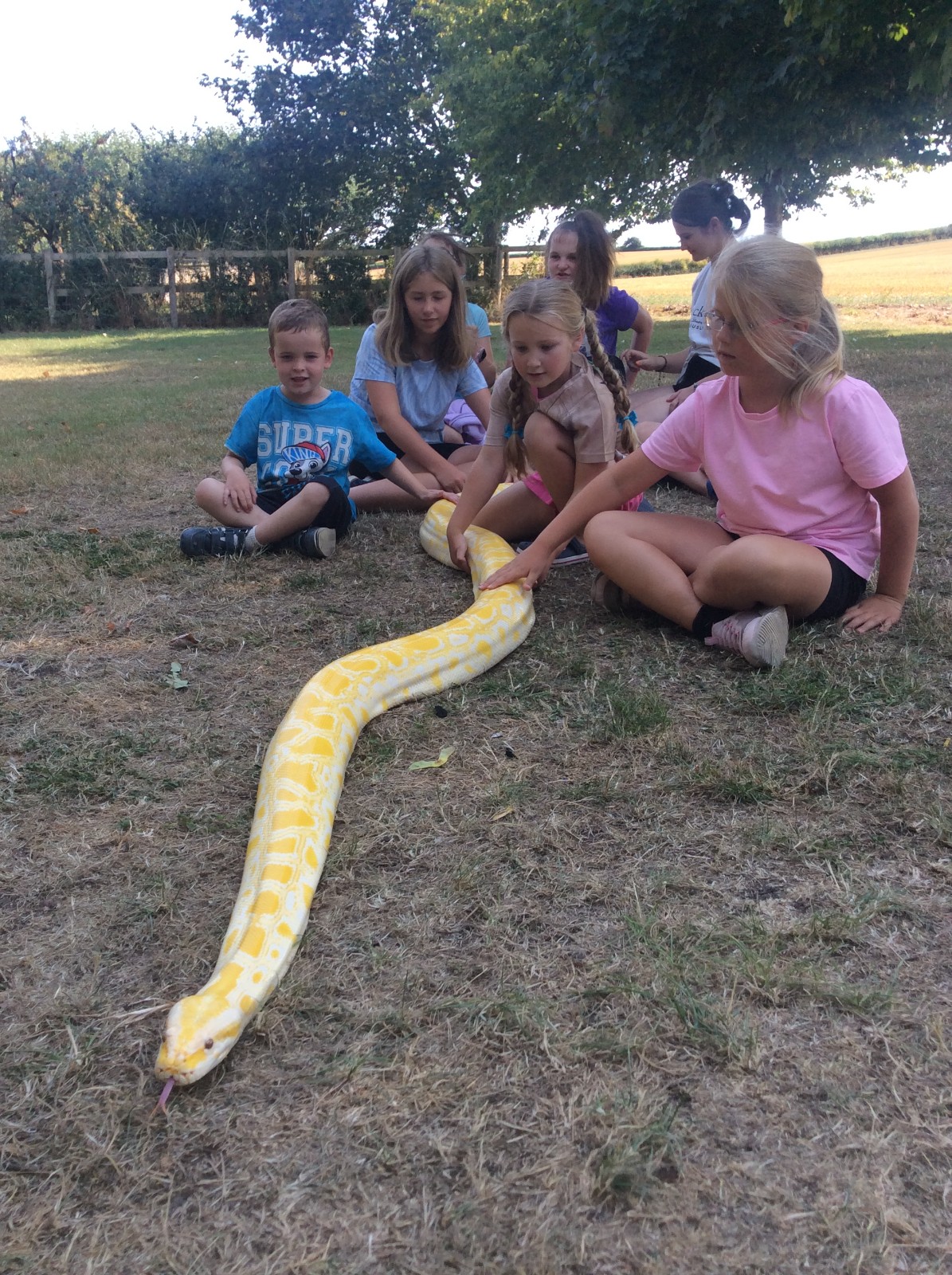 Reptile Ranger Holiday Activities & Food Club - image 4