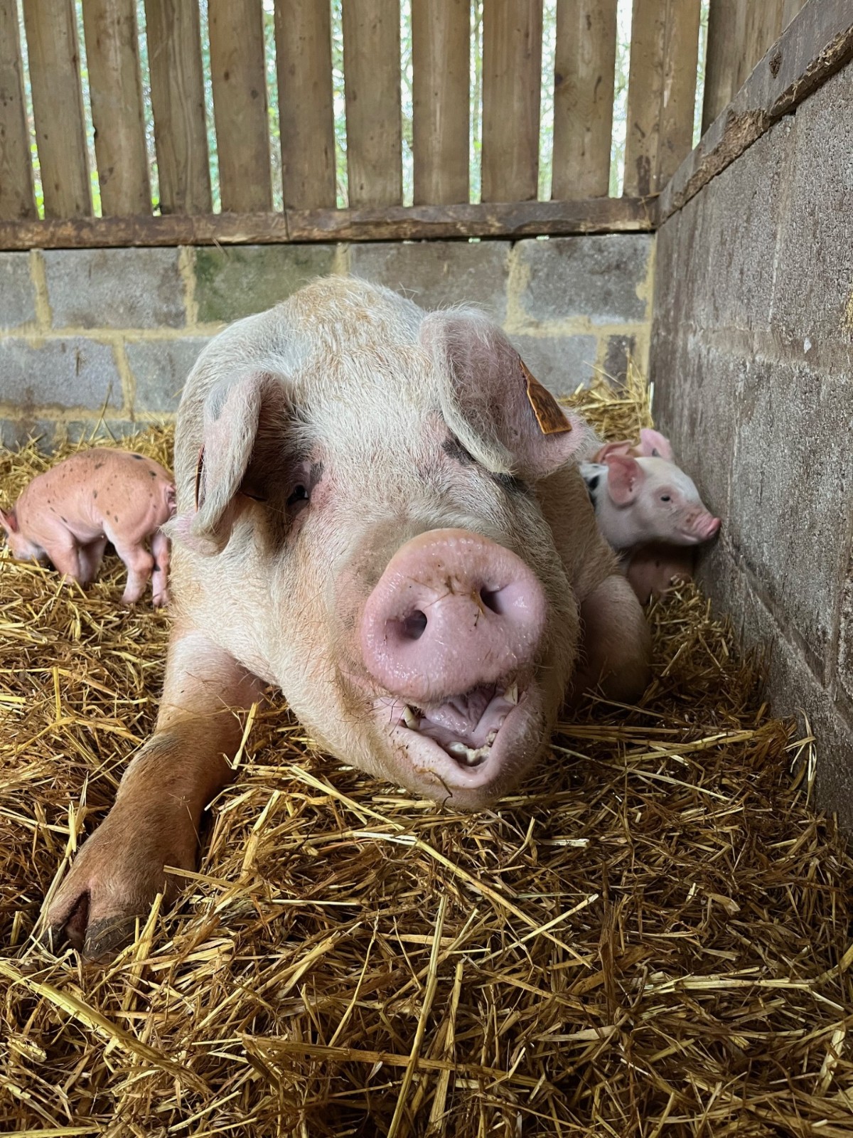 Rutland Outdoor Holiday Club - image 5