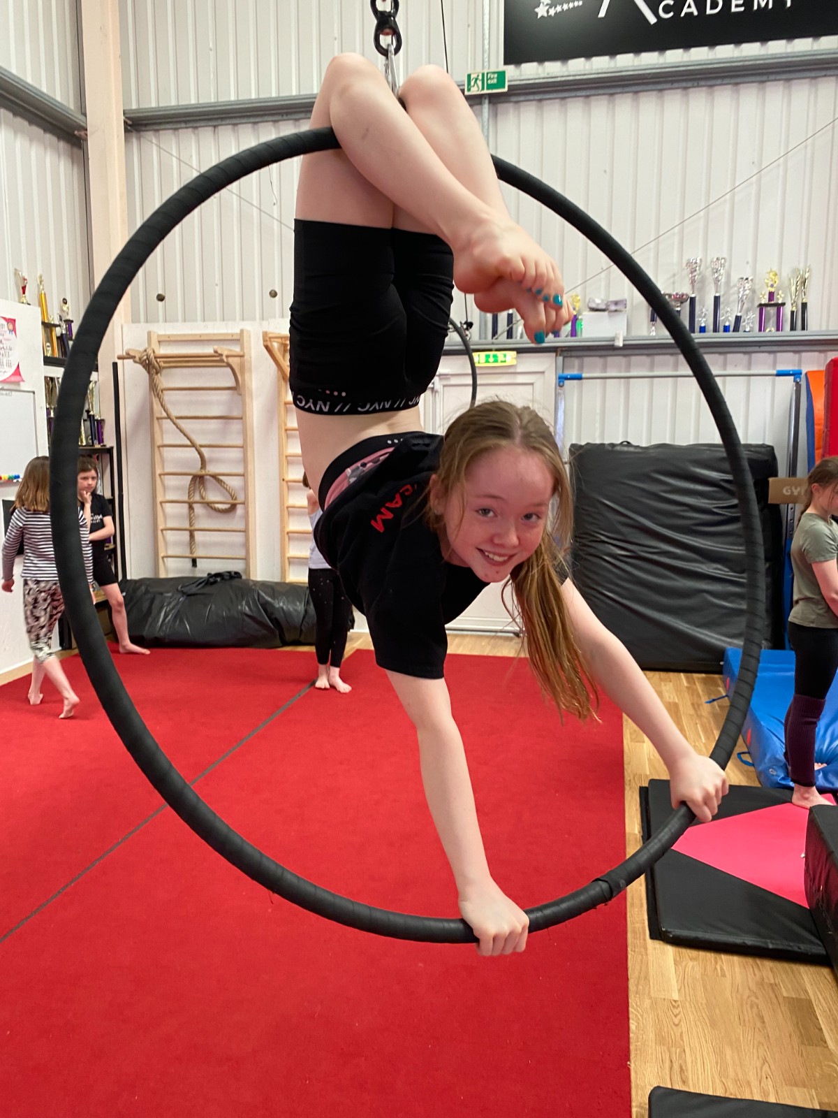 Christmas Circus Spectacular - image 10