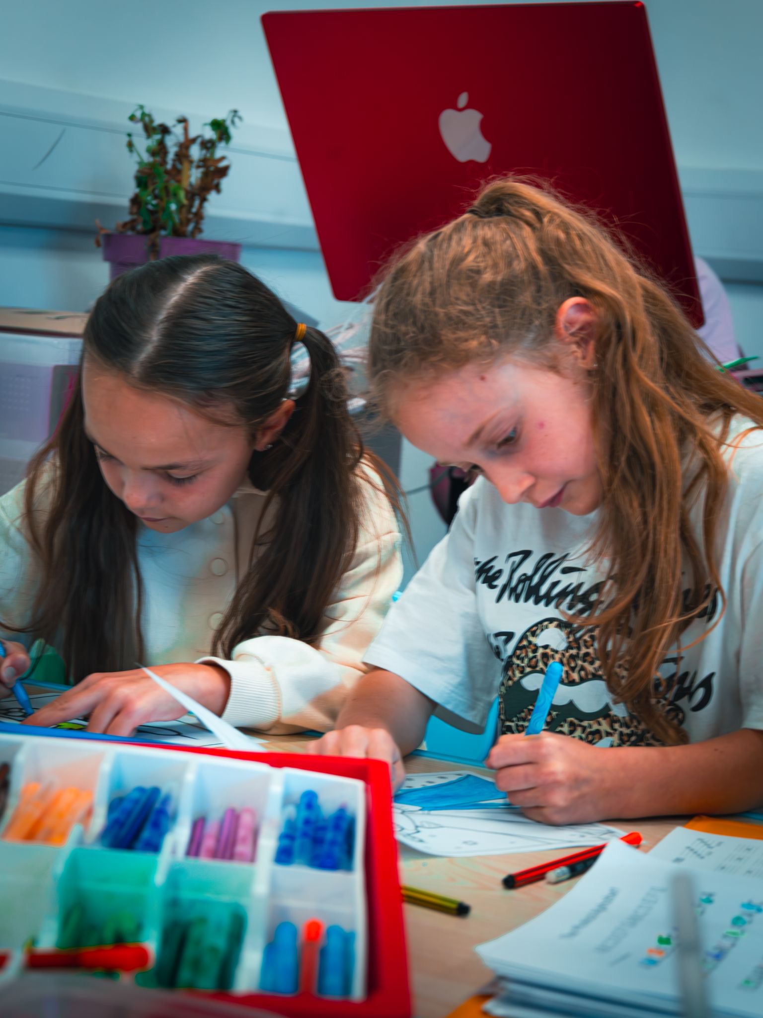 Maestro Elite-Winter Sports/Activity Camp - image 3