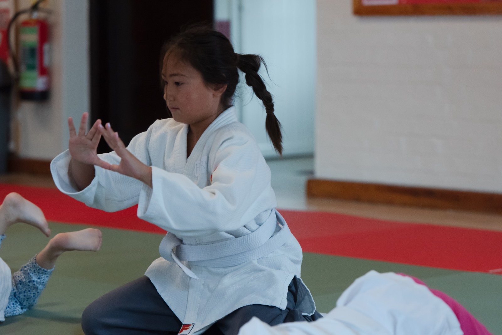 Introduction to Judo - image 3