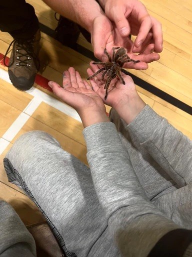 Active Adventure Camp @ Pocklington - image 5