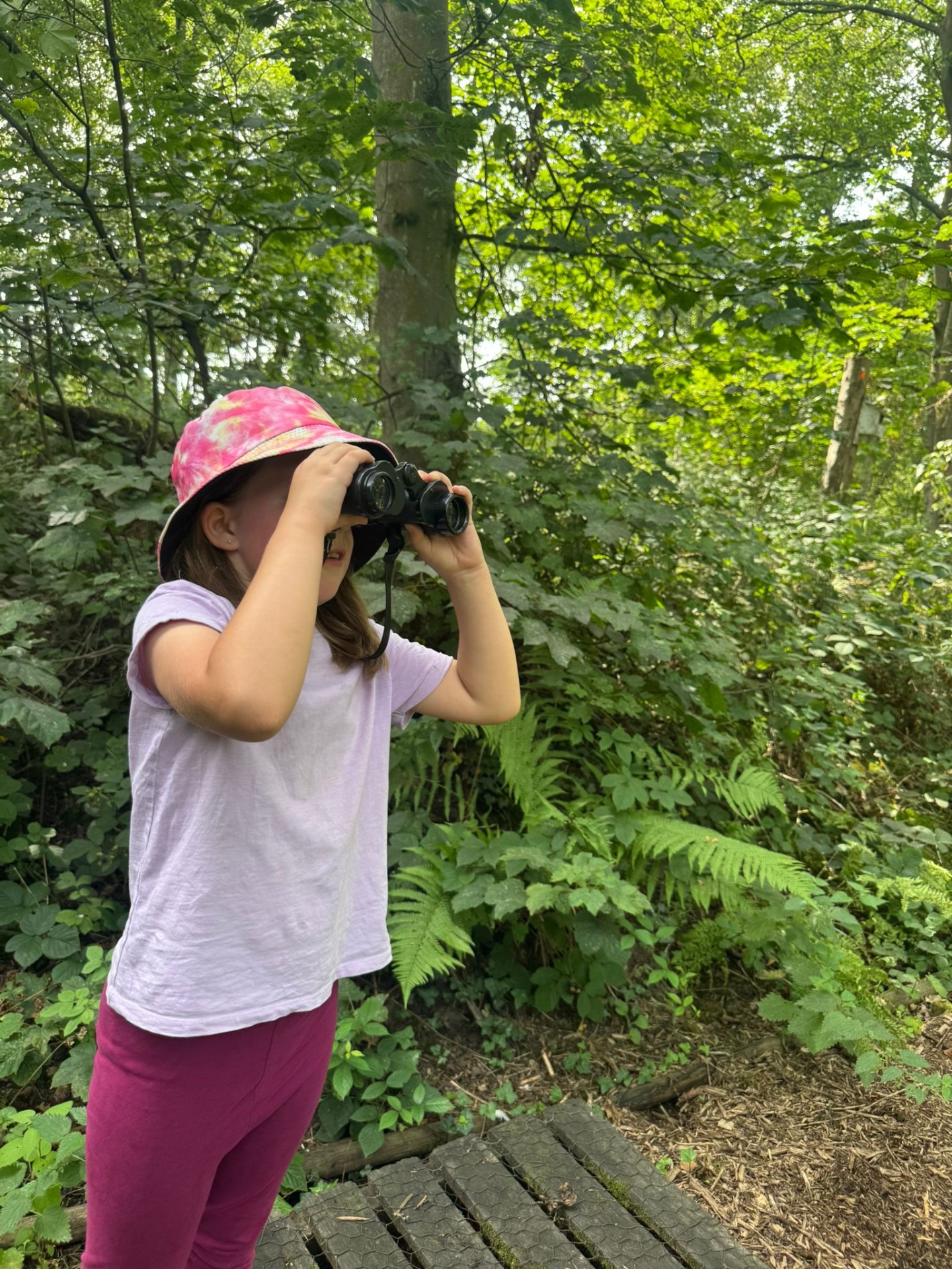Entrust Adventure Days - Standon Bowers block mentored by Capita Entrust