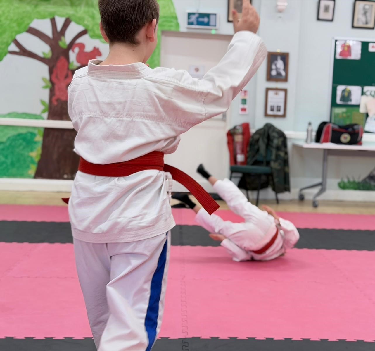 Milton Keynes Aikido Club (EHCP+)   ✨ - image 2