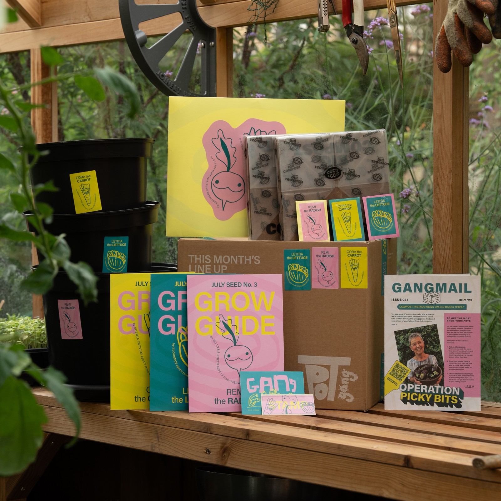 VEG + HERB GROWING KIT - image 21