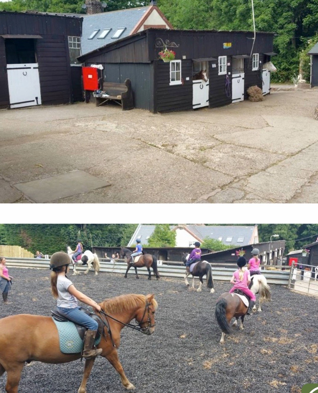 Fun Horse Activity Morning @ Bridlington - image 2
