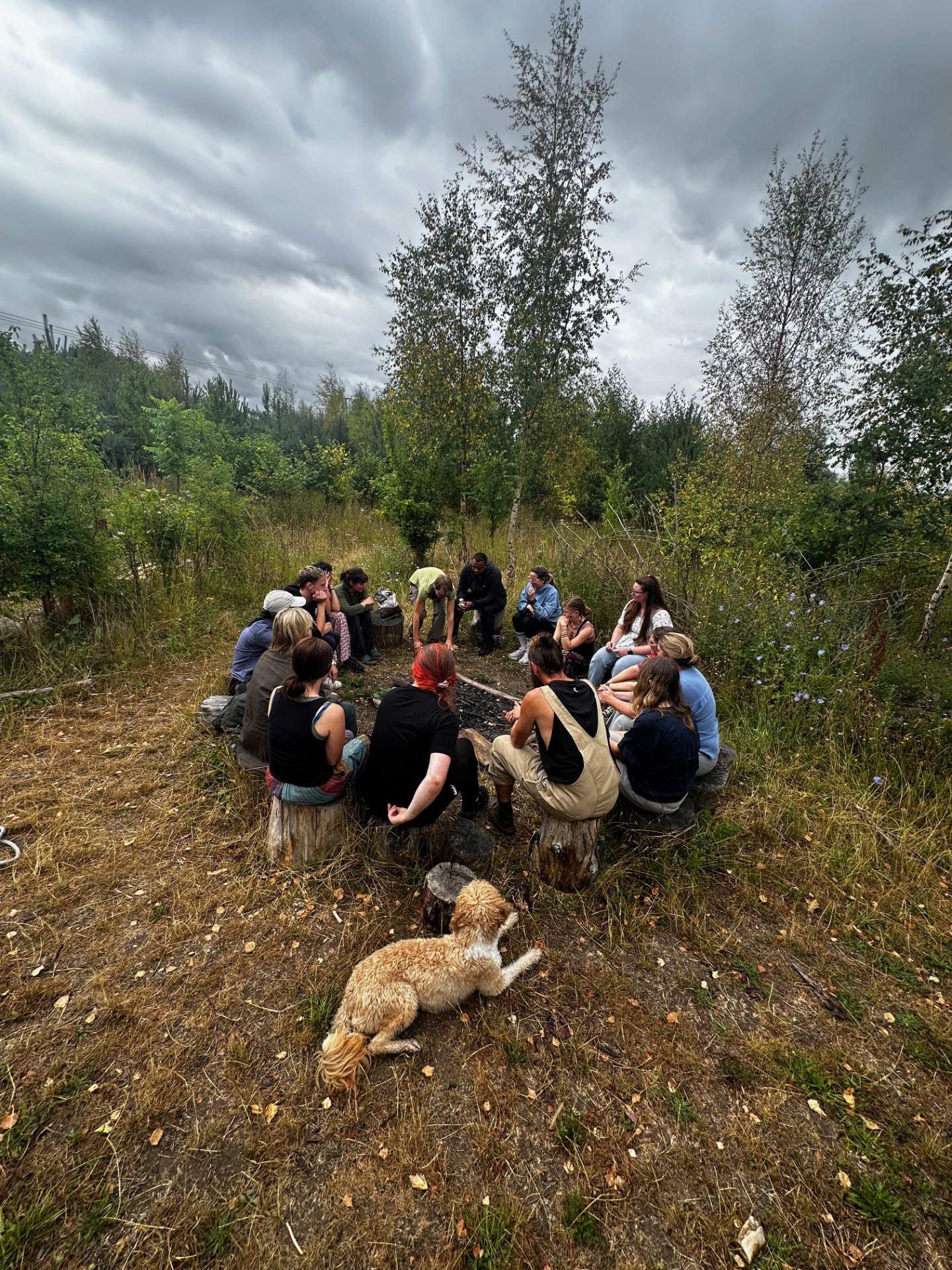 Intensive Forest School Leader Training - image 2