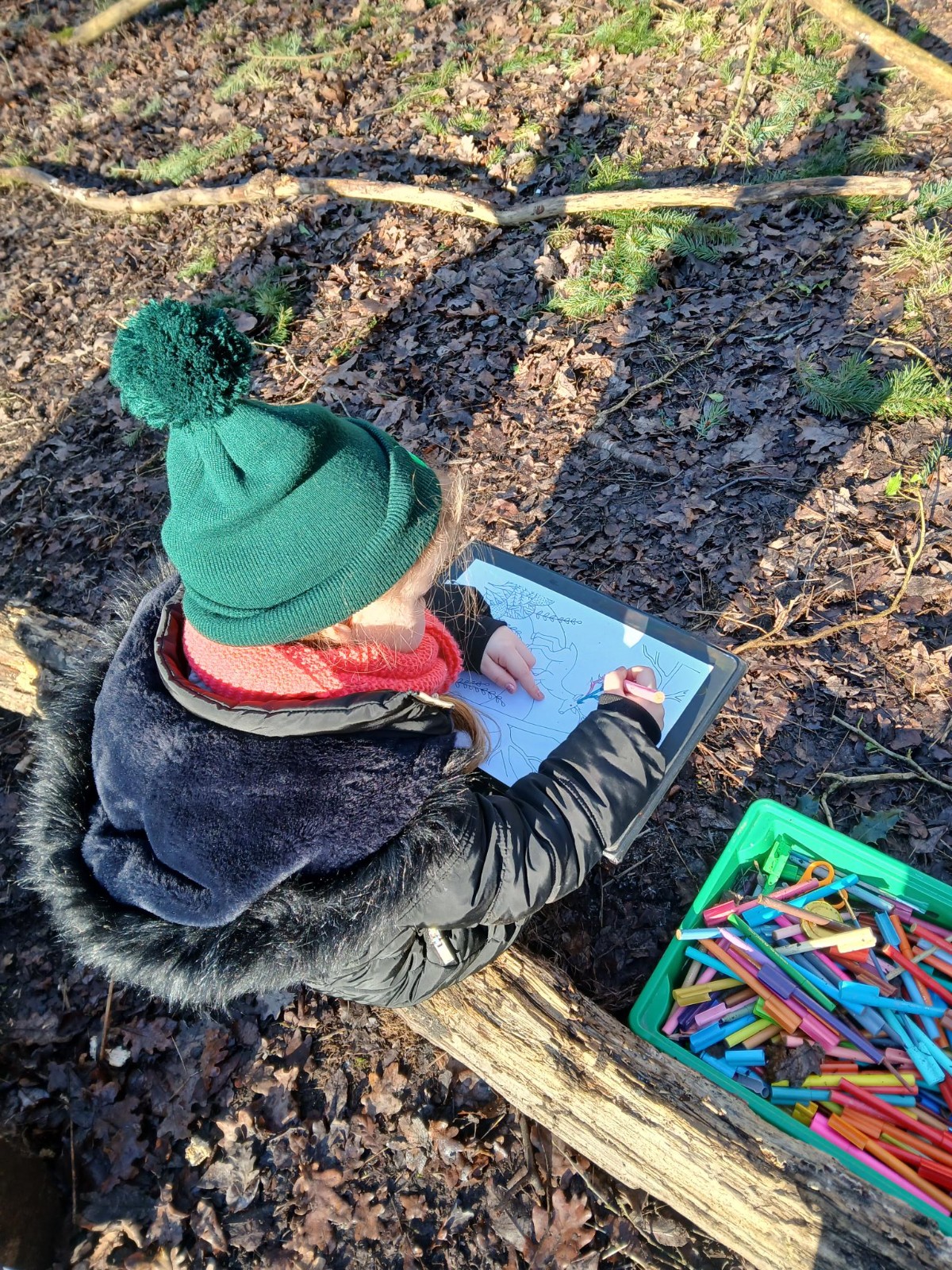 Cook in the Woods - image 7