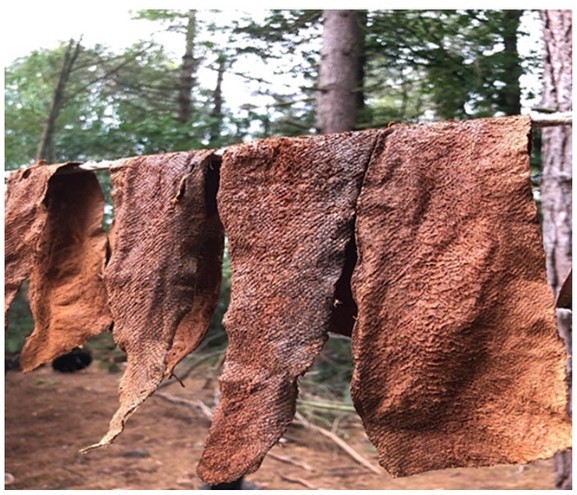 Fish Leather Tanning block mentored by Bushcraft PPG