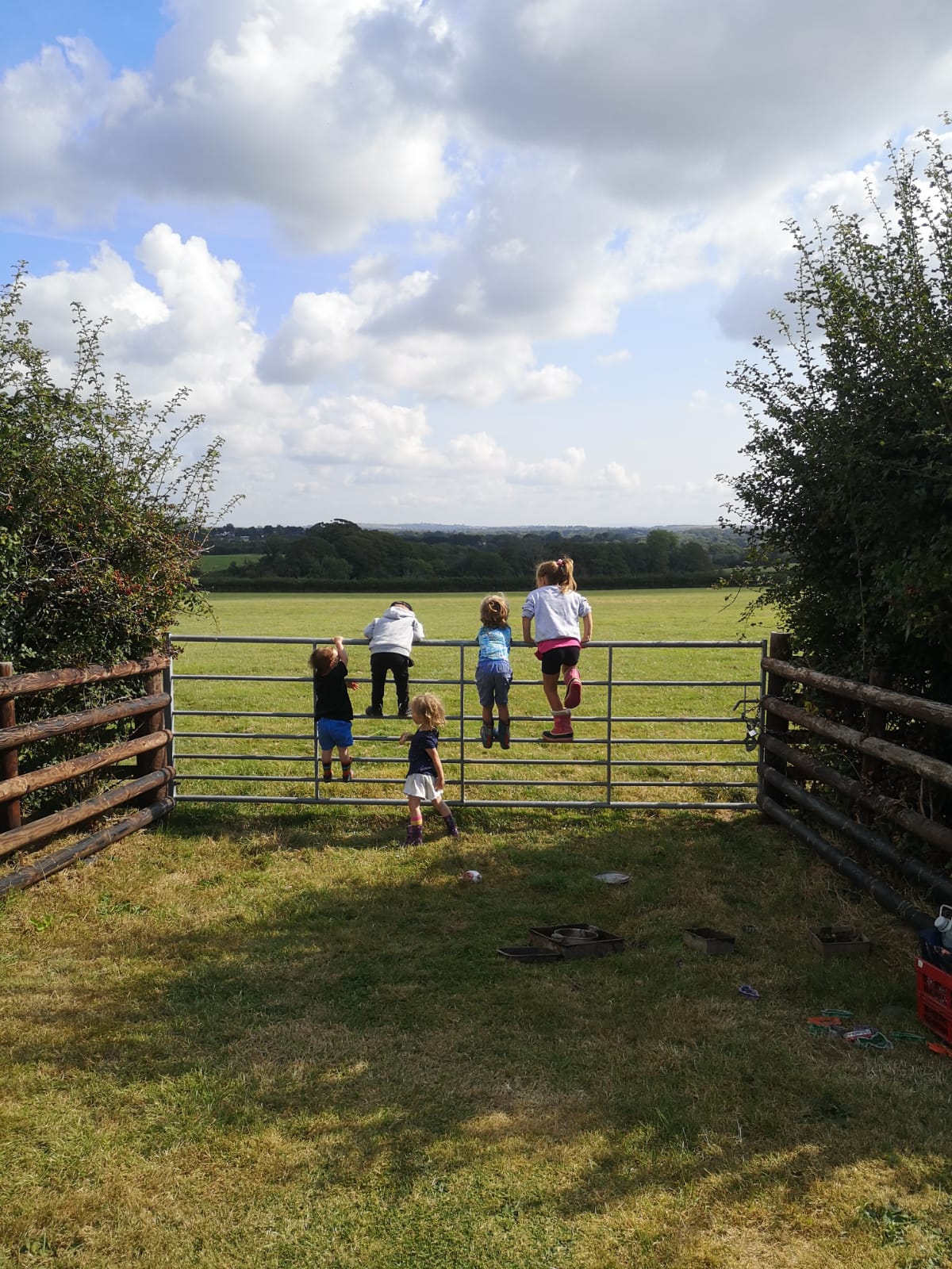 1/2 Term Family Fun Singleton Park - image 4
