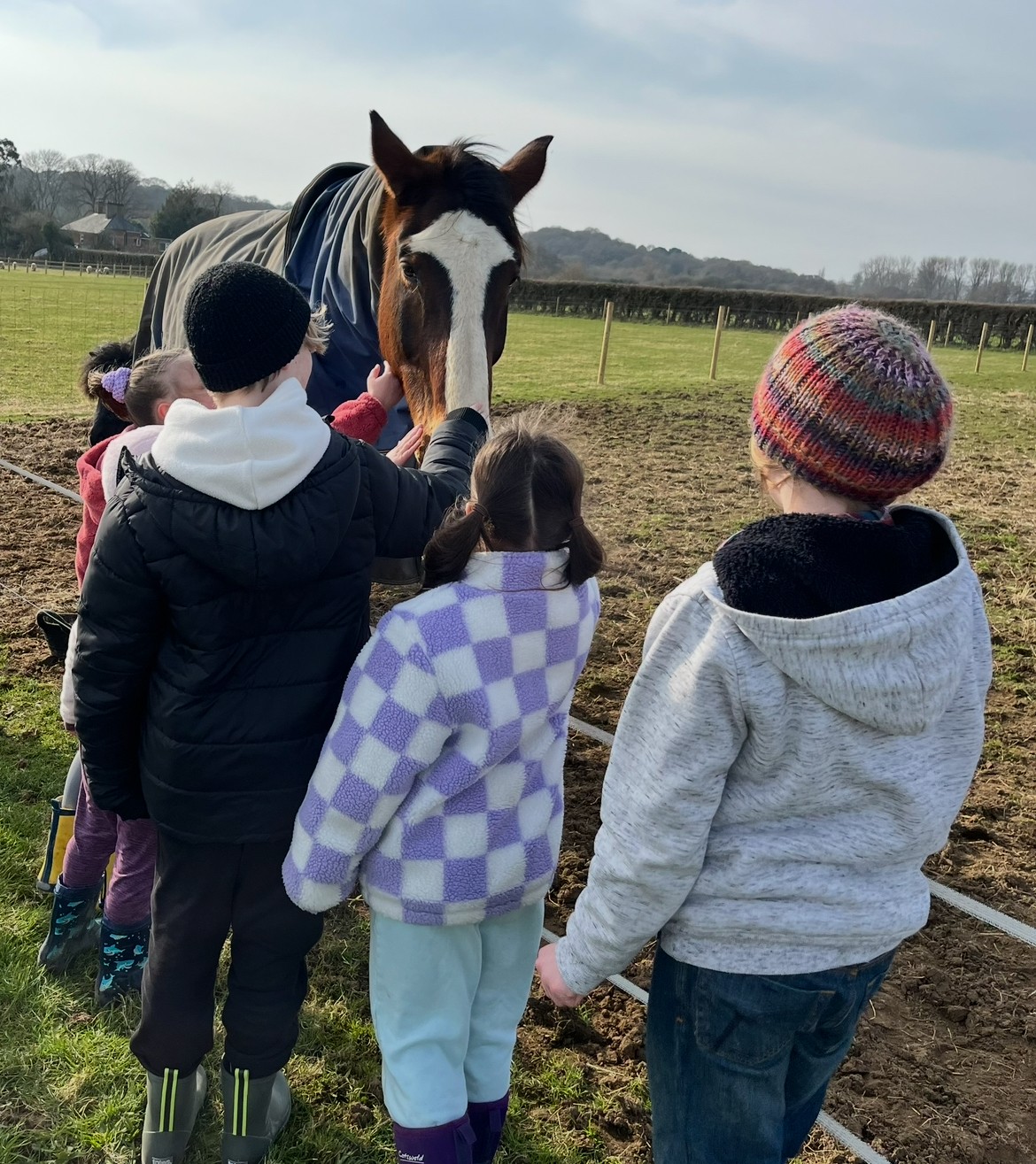 IOW Rare Breeds Farm Family Fun - image 3