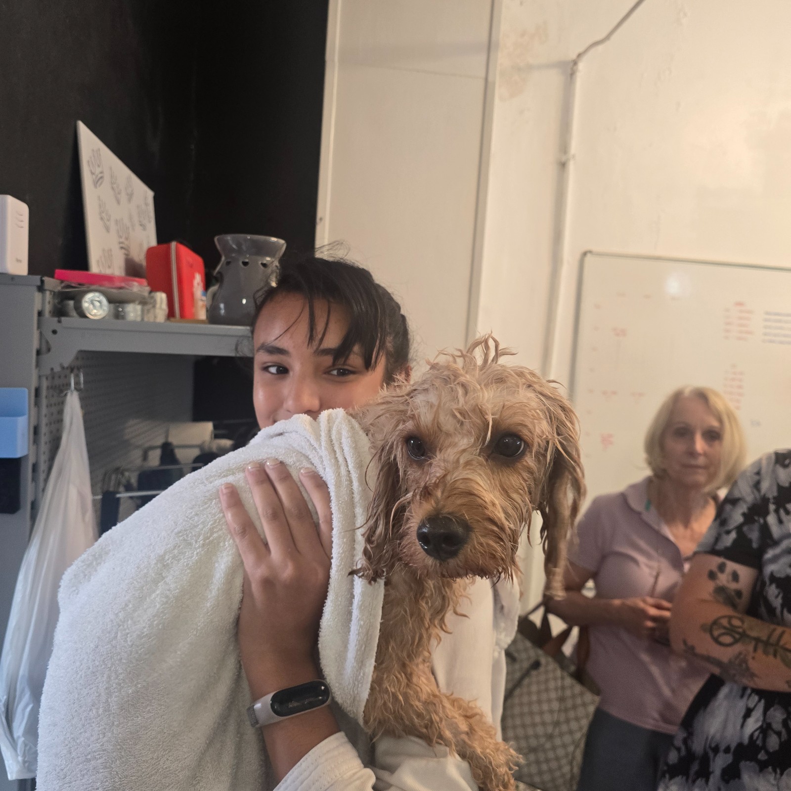 The Dog Squad Summer (HAF) - image 8