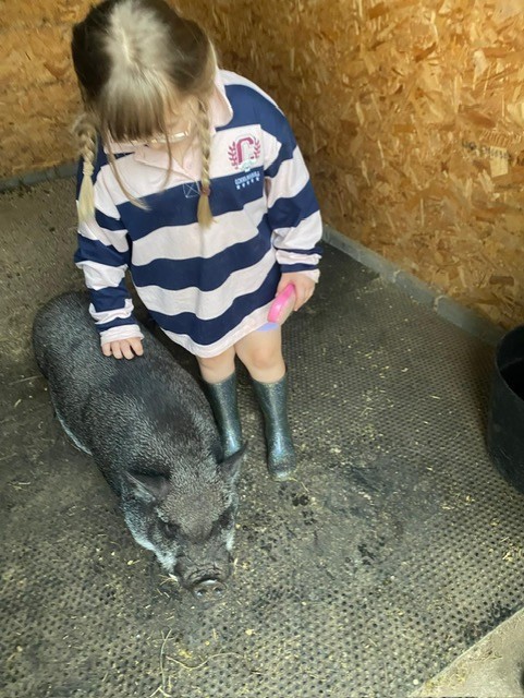 Summer Holiday activity days - image 22