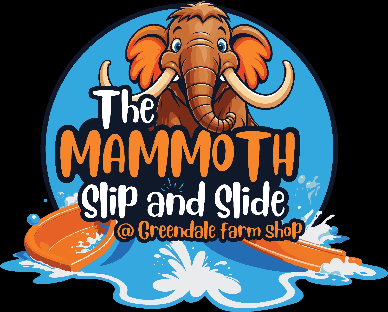 MAMMOUTH SLIP AND SLIDE - image 2