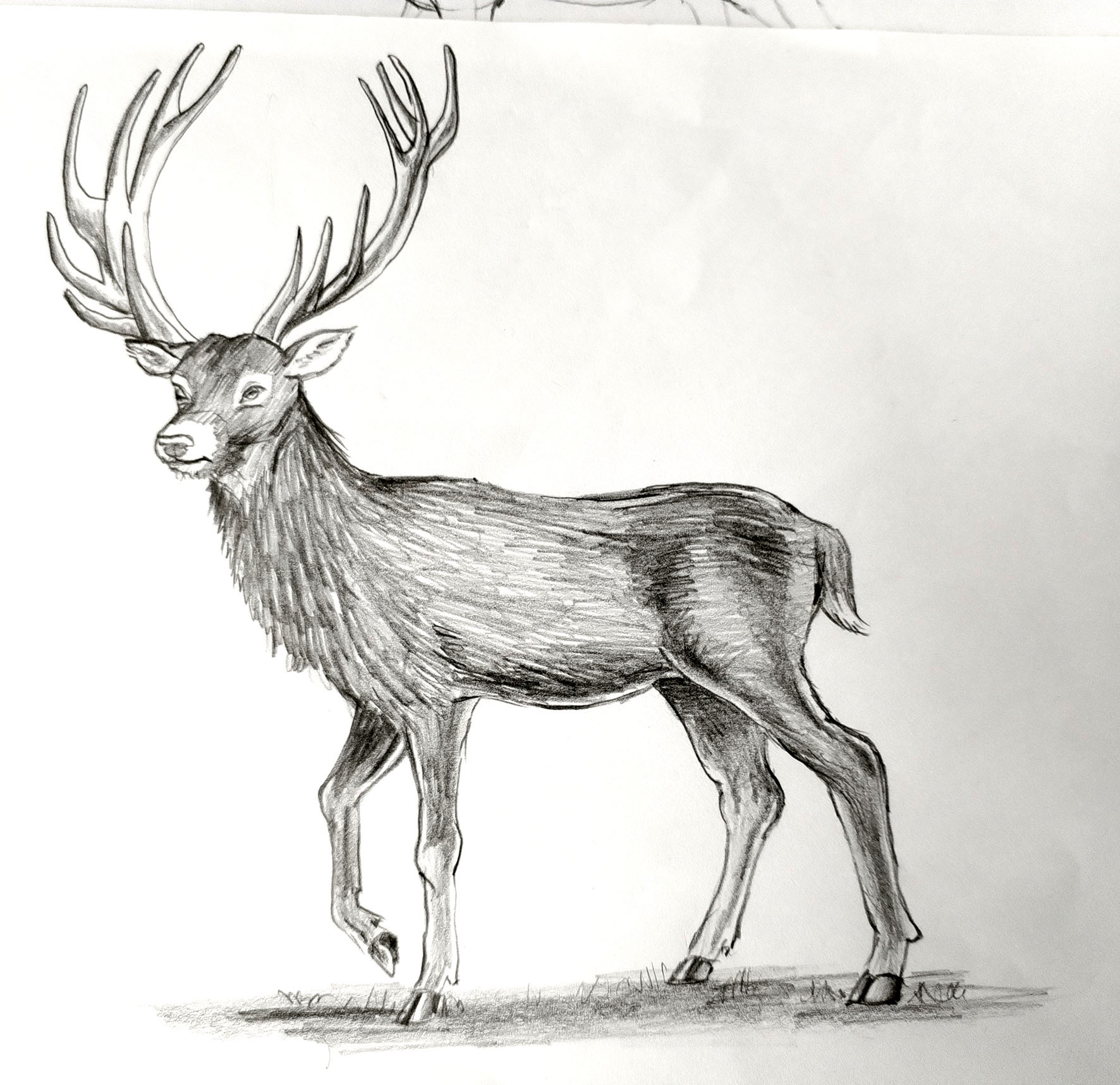 Winter HAF specialist Arts and BSL - ASAN - image 5