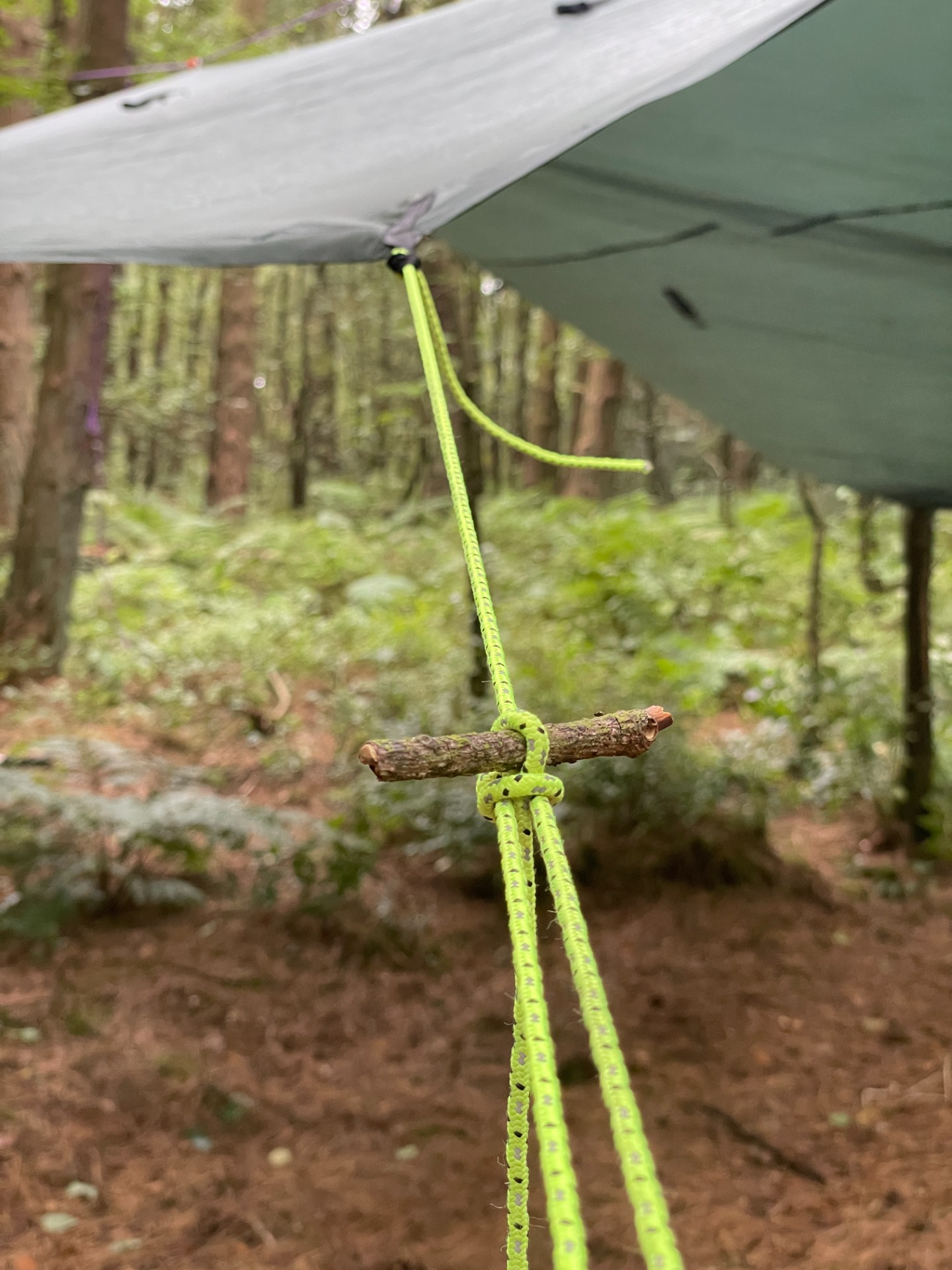 Tarps from Basics to Basecamp - image 3