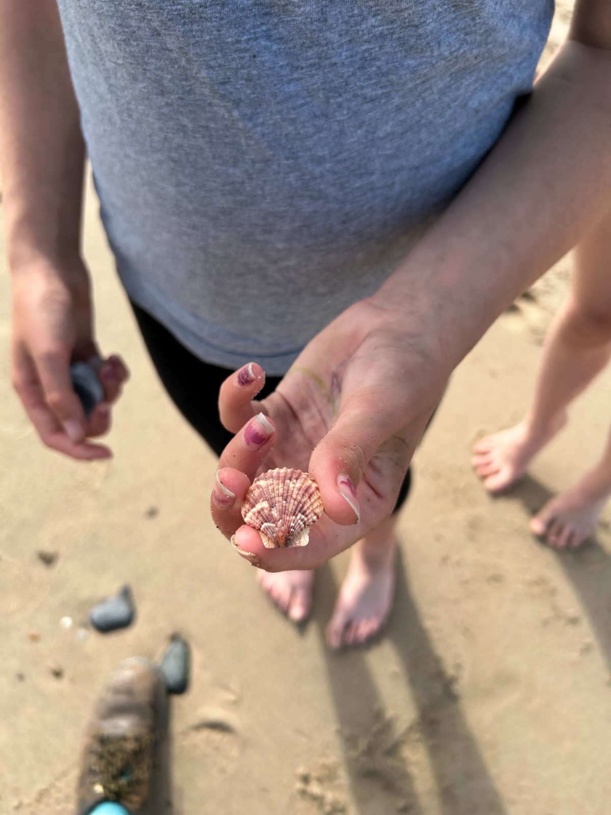 Explore & Discover Danes Dyke - image 4