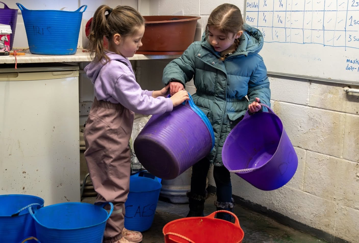 S.E.N.D OWN A PONY FOR A DAY! - image 8