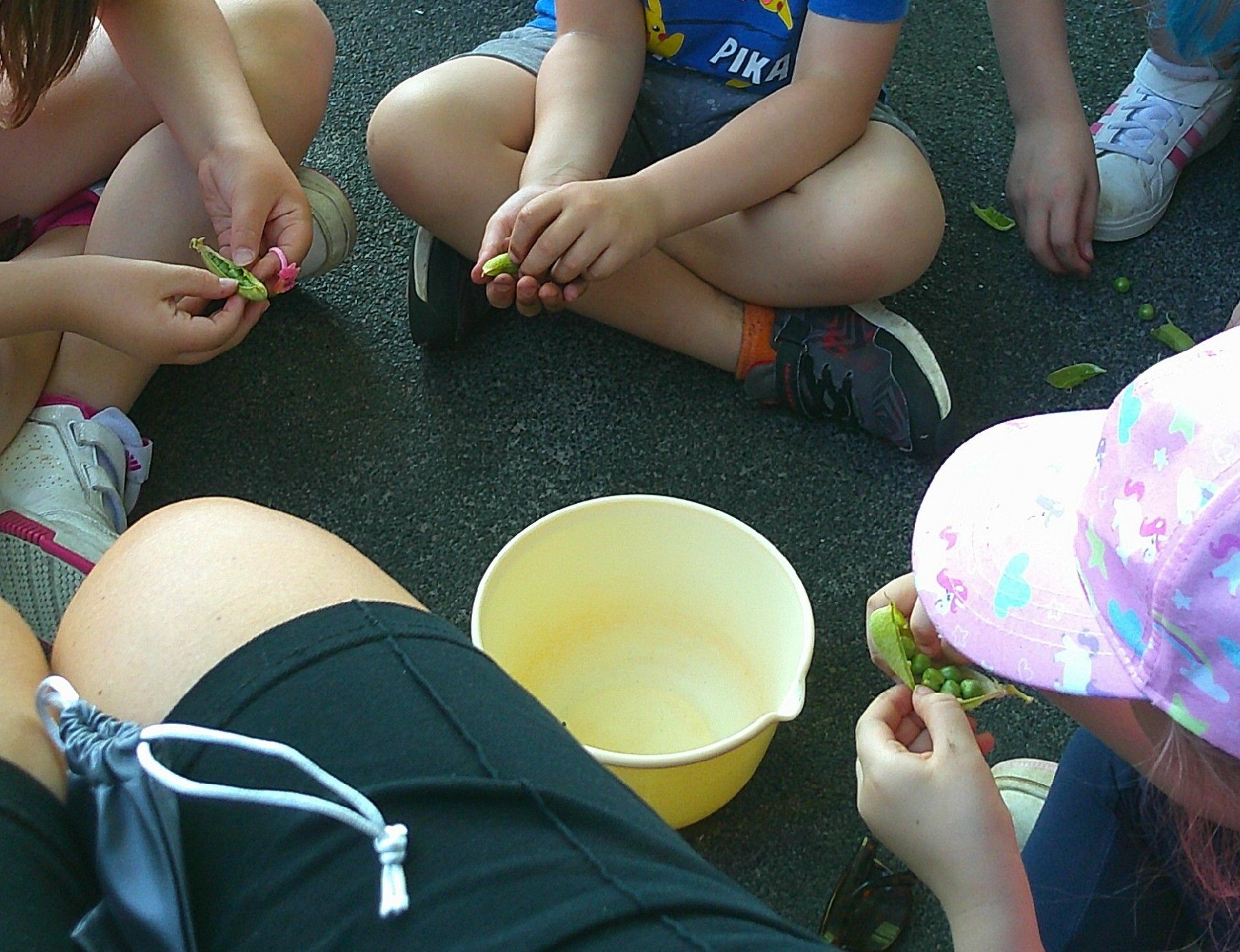Happy Days Childcare - Ecton Brook HAF - image 11