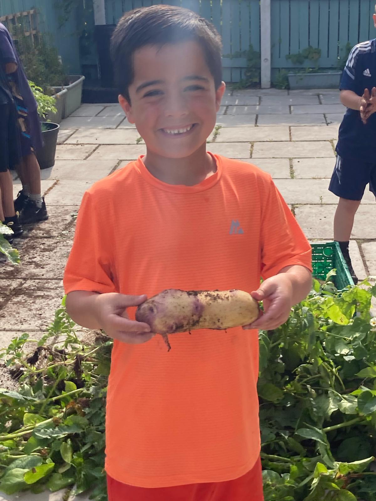 Croxteth Family Matters - Summer HAF - image 2