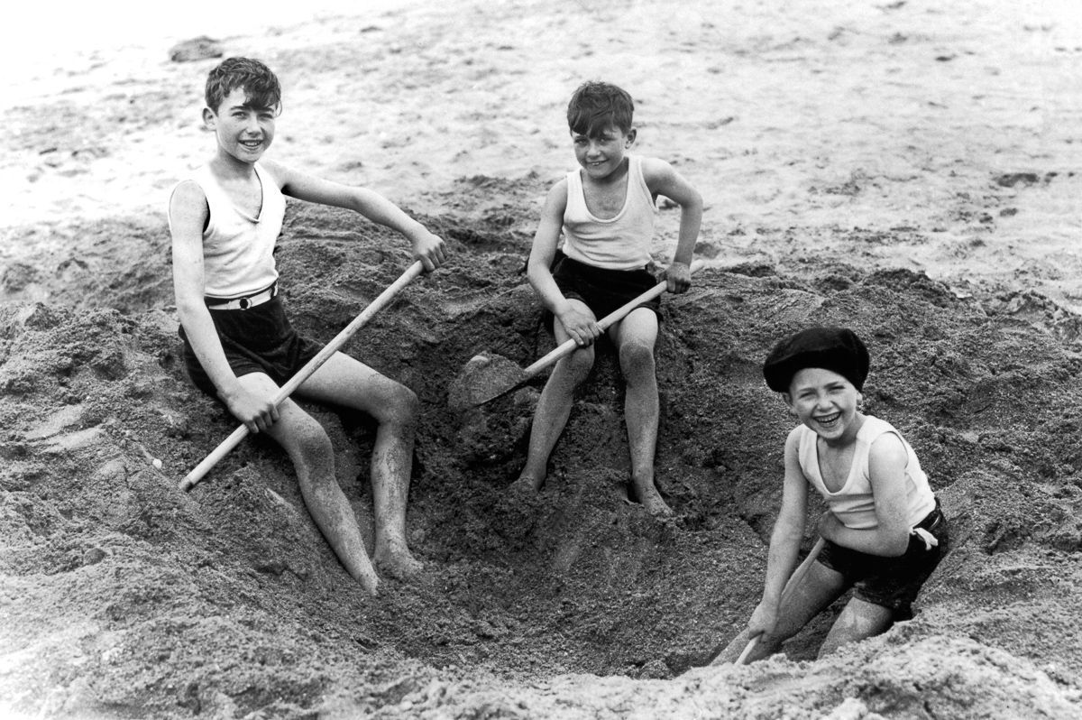 REWILD HASTINGS - BEACH  - image 3