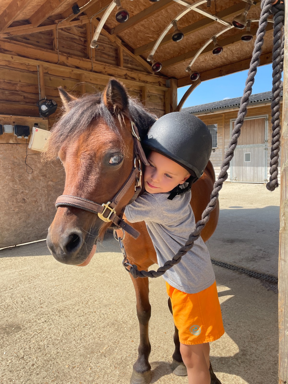Island Riding Centre - HAF with Horses - image 3