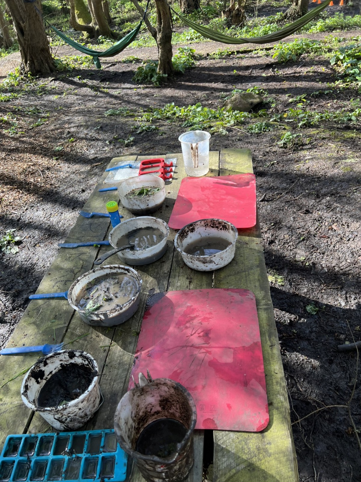 SEND Family Stay and Play HAF Forest School - image 4