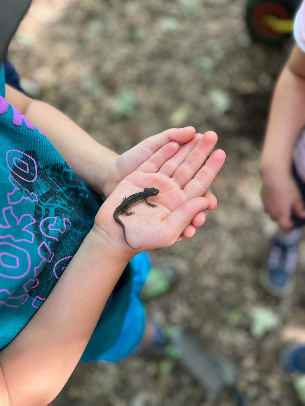 Wilderness Club: Holiday Camps - image 5