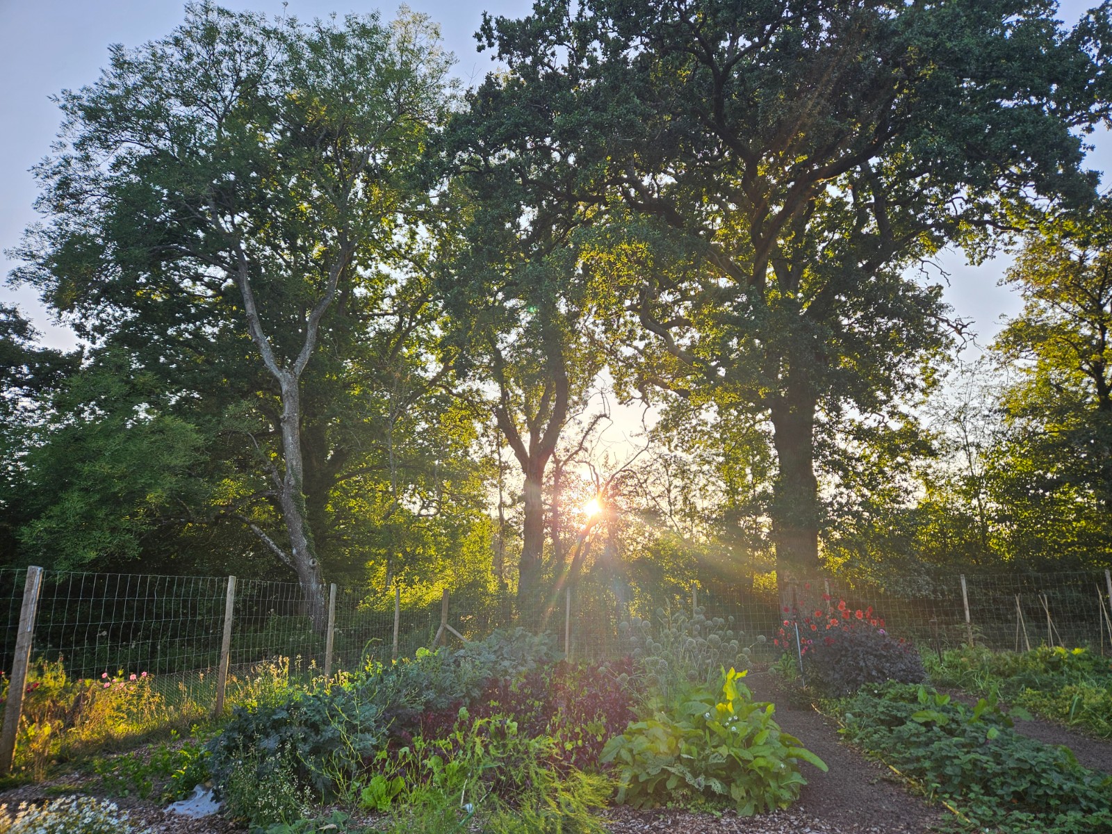 Worthy Earth Gardening Camp - image 6
