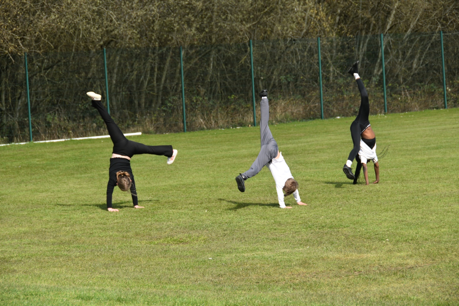 SDH Academy - Charter Academy - image 4