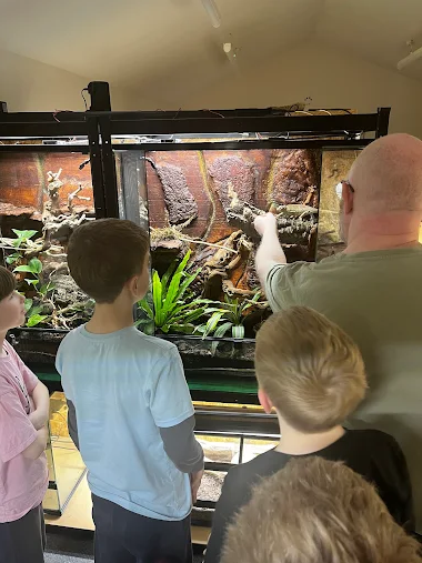 Reptile Ranger Holiday Activities & Food Club - image 2