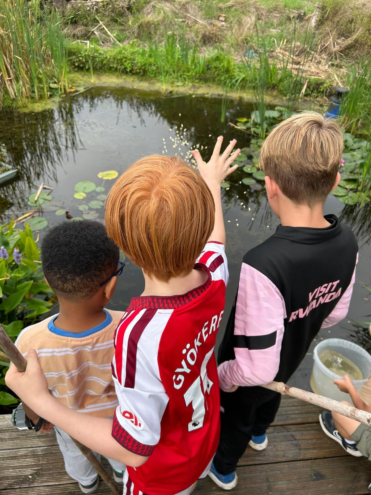 Trust Links Forest School Shoebury Summer 2026 block mentored by Trust Links