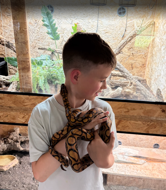 Reptile Ranger Holiday Activities & Food Club - image 7